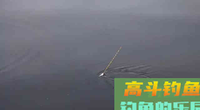 两类截口四种漂相，漂动就提，冬季钓大棚，想不上岸都难