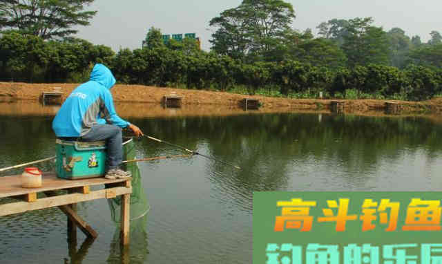 初夏，降雨增多，河流涨水鲫鱼多