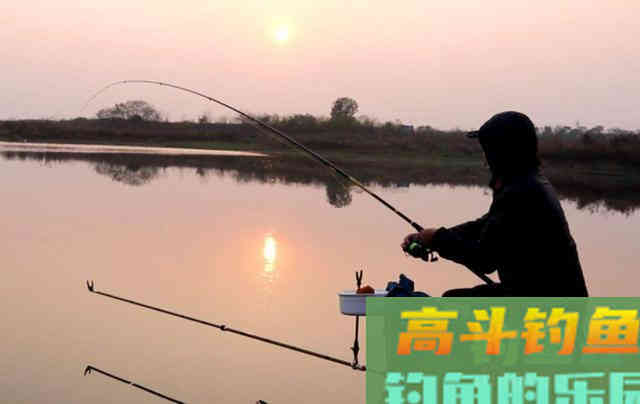 冬季出钓，要知道鲫鱼的吃饵特点，知道何时提竿