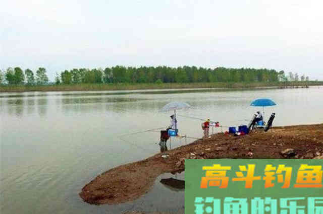 明人不说暗话，秋钓只要常用这几招