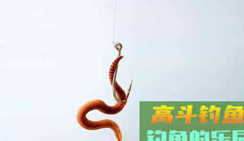 汛期已至，还不赶快趁着浑水钓鱼？注意这3点