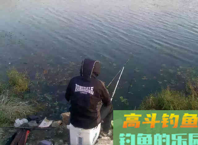 别再说冬钓就要钓深了，除了深水，还有几个钓点