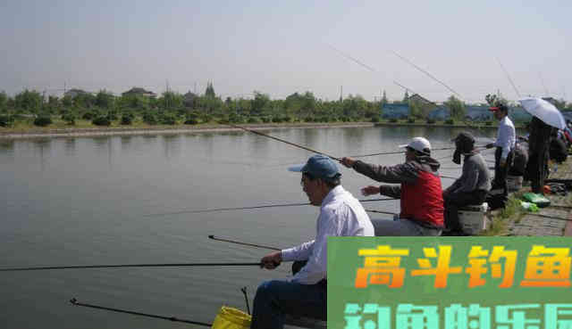 夏季钓大水域，天气变热，钓法也要随之改变