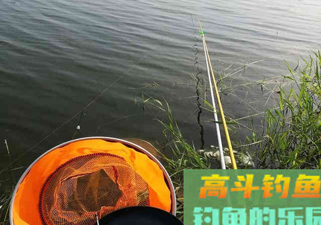 春末钓鱼，不做这些调整，你就等着被剃光头吧