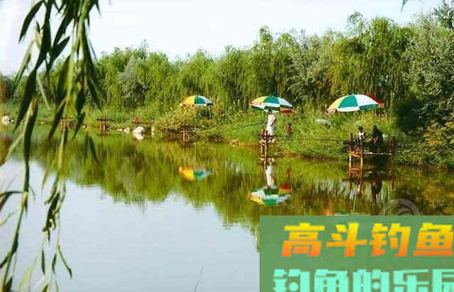 仲春钓近钓远注意这几个细节，可以有效提升渔获