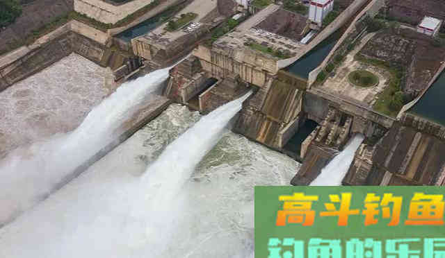 夏季涨水，暴雨后真的好钓鱼吗