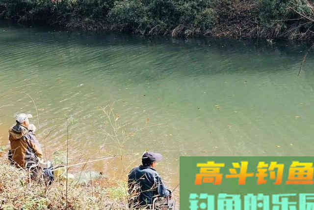 冬天一冷，鱼就不好钓，庆幸我有百试百灵的套路