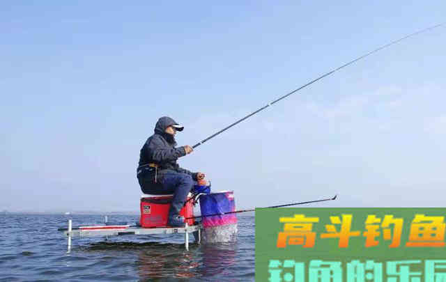 冬天，鲫鱼都喜欢在这个时间，到这些地方出没