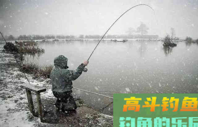 下雪到底能不能钓鱼，要看是雪前、雪中、还是雪后