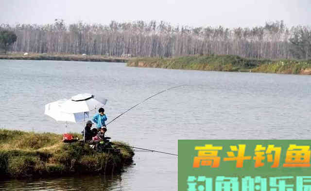 秋季钓鱼，要找这些地形特殊的地方