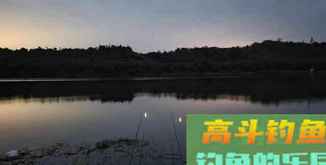 夏天野钓要小心这3种动物，比蚊子狠太多