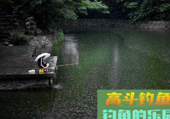 老钓友实操分享: 如何在初夏雨天钓好鱼