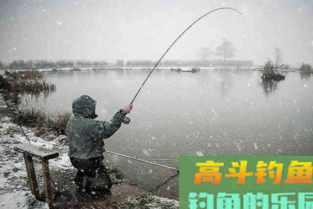 冬季出钓看天气，不选晴天选雪天