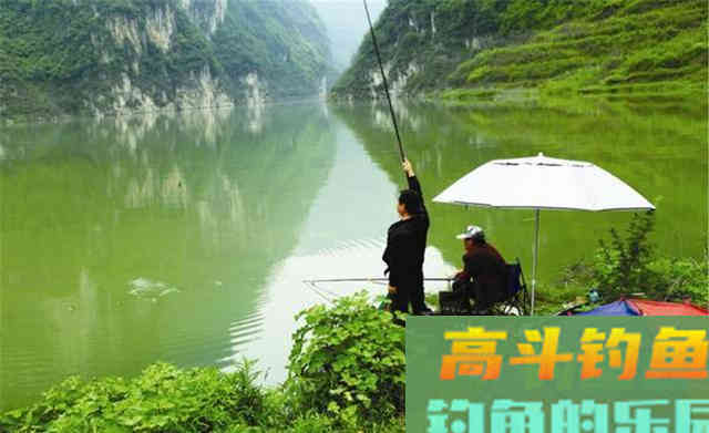 秋季钓鱼变数很多，技巧上要细分