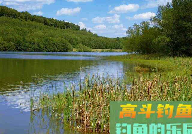 初夏钓鱼，别人鱼口不断你没口，用好这些技巧
