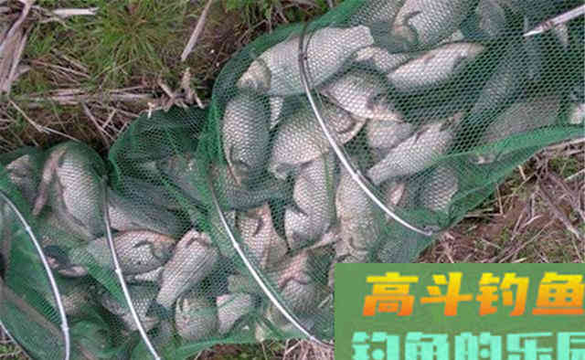 冬钓6字要诀：冬季常“空军”不要怪天冷