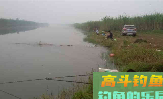 秋季钓鱼，天气不当鱼不开口，钓位不当没鱼咬钩