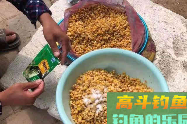 秋天刚到就嫌鱼不好钓？别傻了，按我说的调整