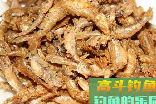 春末拉白条，打浮总没口，不妨试试这几招