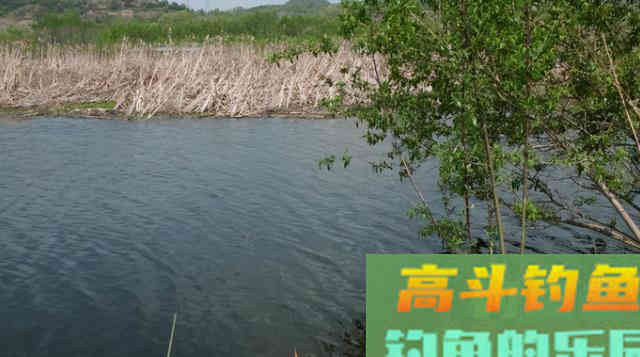 夏季野钓，灵活多变，因鱼施钓
