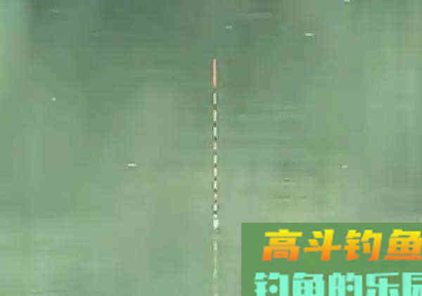 春钓想要渔获好，三勤二不一注意，据说照做了爆护不难