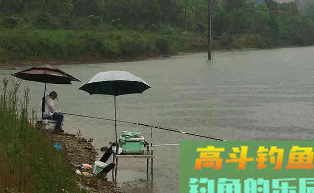 这几种天气大鱼吃钩猛，鱼护千万别带小了