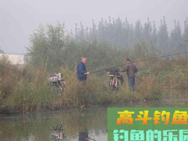 冬天钓鱼选这三个位置，十之八九会打龟