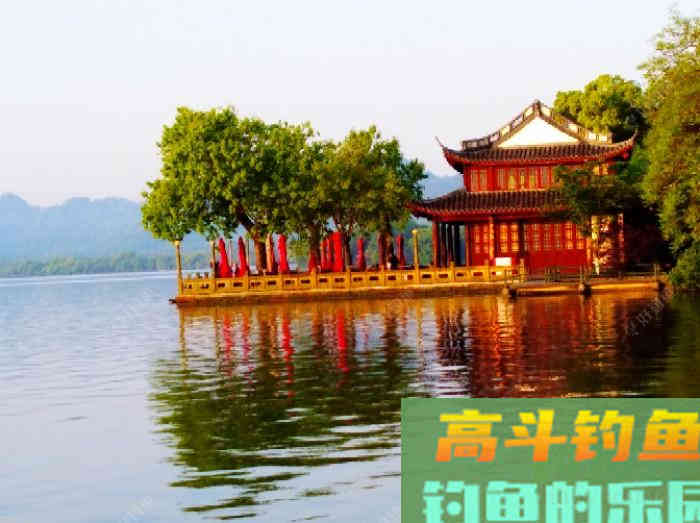 夏季钓鲫的7个概念，能让你在夏天更好的钓鱼，钓到大鱼