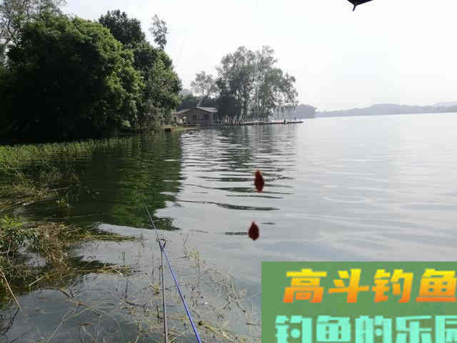 水库选钓位的原则太多了，但是冬天一定要选在阳面