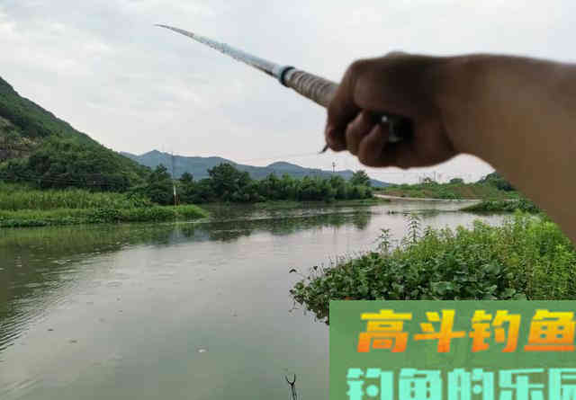 夏季野钓该用多长的鱼竿？早钓近、午钓远