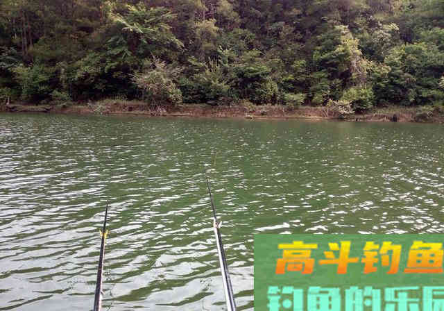 春季钓鱼，熟记3钓3不钓，钓好鱼很轻松