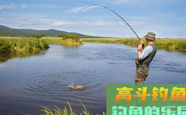 都说秋季好钓鱼，为什么你钓不到鱼呢