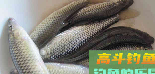夏季野钓，绝杀小鱼闹窝的几种方法