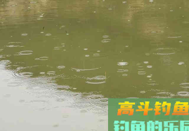 夏季野钓该用多长的鱼竿？早钓近、午钓远