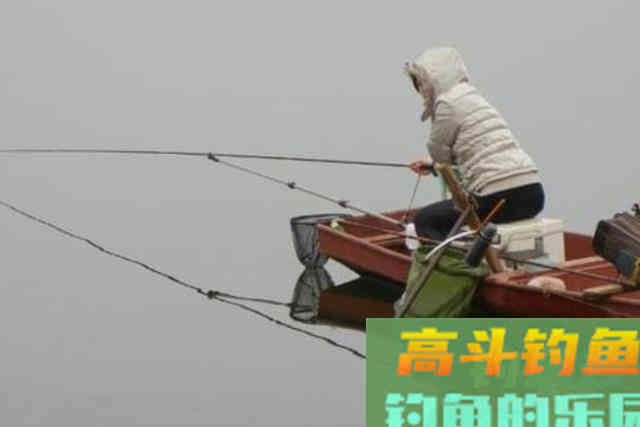 冬钓板鲫不够爽？那是你没按套路出牌，试试这几招