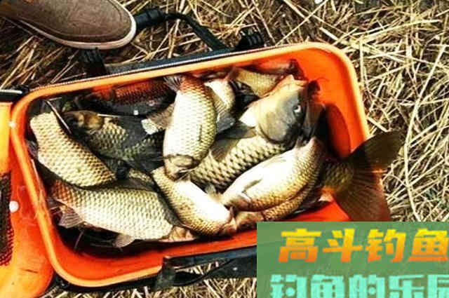 冬季钓鱼，除了深水区，这几个区域也藏鱼