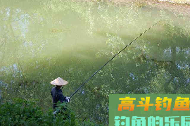 秋季降温后，钓深还是钓浅