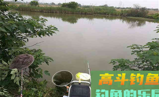 夏季钓鱼困难多，5种天气别出门，2种钓位不下竿