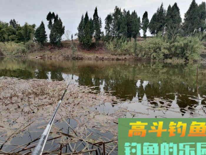 为什么初春上午好钓鱼，下午鱼口差，怎么钓好