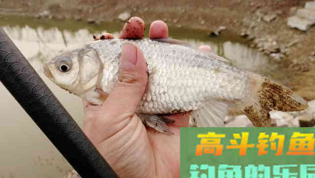 冬季钓鱼要牢记这三小两稳，渔获想不多都难