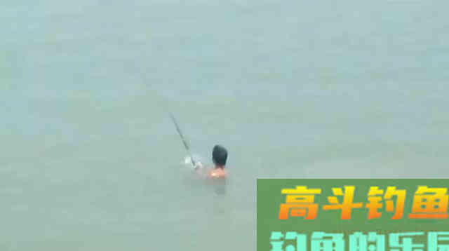 夏季夜钓，提防的不止是蛇与红火蚁