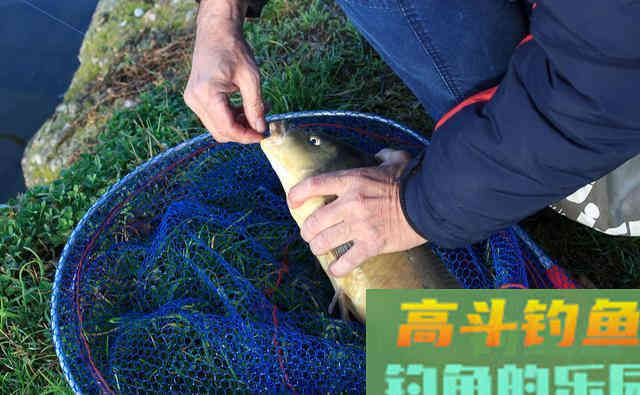 立春后钓鱼，牢记这三点很重要，帮助你初春钓得多