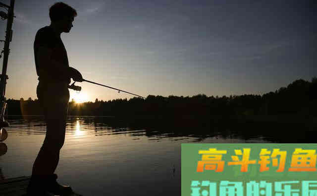 不得不承认，夏季夜钓比白天强，这几点足以说明