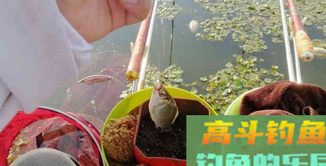 春钓浅滩钓位这样选，钓鱼更容易，渔获起码翻一倍