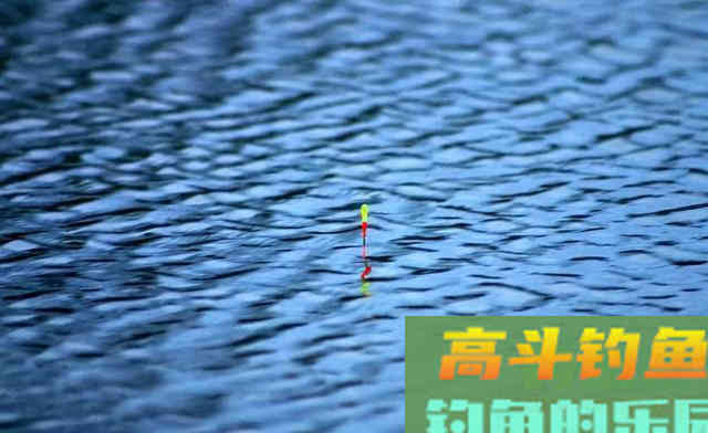 为何入秋之后，水库守钓始终没鱼口