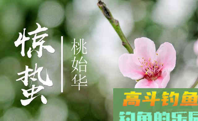 惊蛰之后钓浅滩，我这样搭配钓组、选择饵料