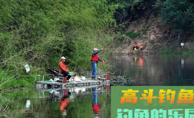 秋天下雨之后，鱼儿都会躲在哪里