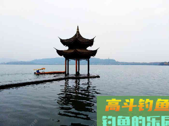聊：冬钓的若干问题，来自高手的解答