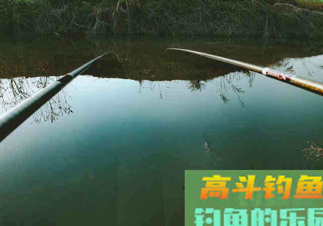 夏季天气太闷热，鱼不开口怎么办？试试这几招