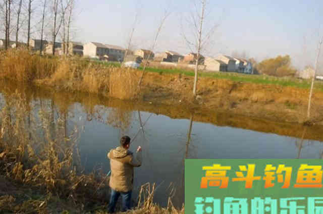 一到冬天就想封竿？试试这3大绝技